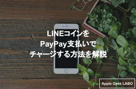 line コインチャージ paypay: デジタル時代の支払い革命